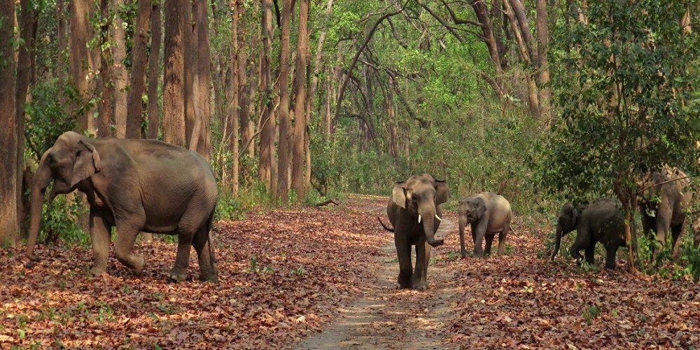 Jim Corbett tour