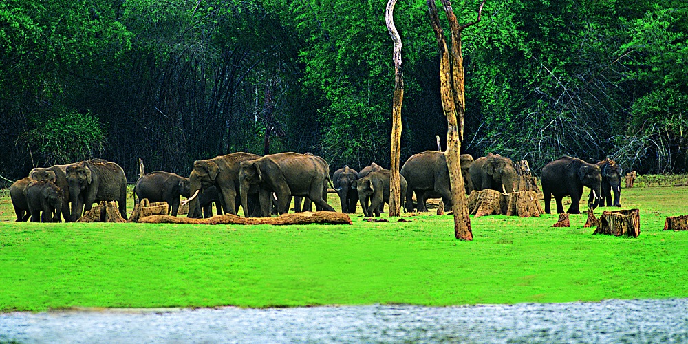 Haridwar local sightseeing