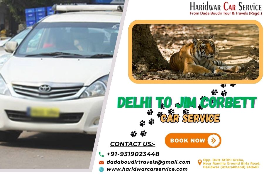 Delhi to Jim Corbett Car Service